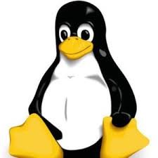 Linux Pinguin.jpg