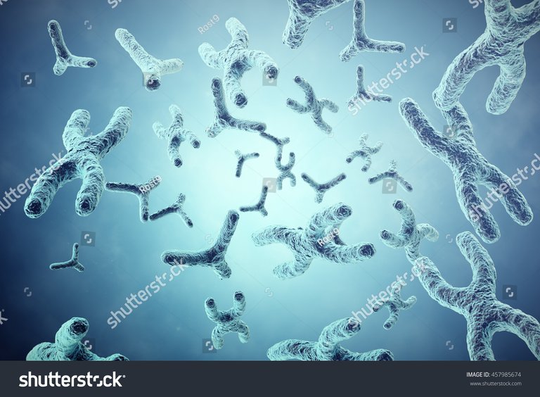 stock-photo-xy-chromosomes-on-grey-background-scientific-and-biology-concept-with-depth-of-field-effect-d-457985674-2.jpg