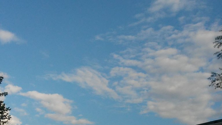 20170906_182706.jpg
