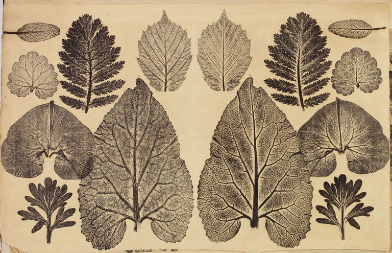 Breintnall leaf - P-2011-7-2-pg51.jpg