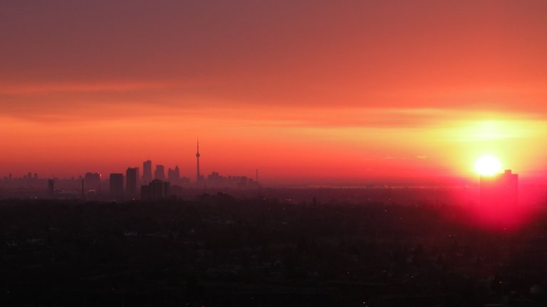 TDot Sunset 1 April.02.09.jpg