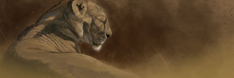 Lioness 6.jpg