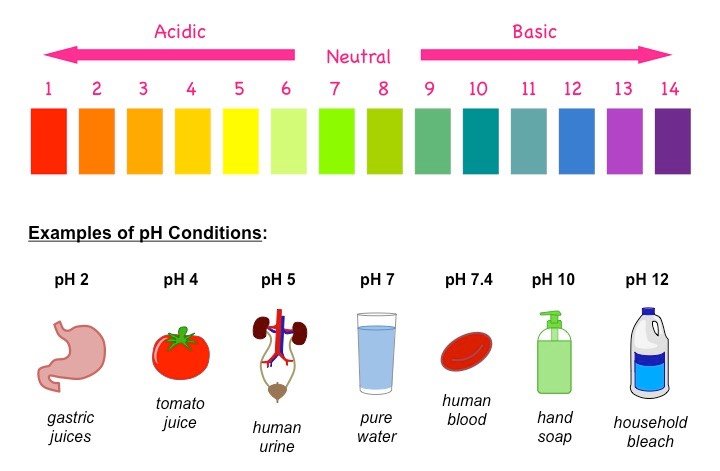 ph-scale_med.jpeg