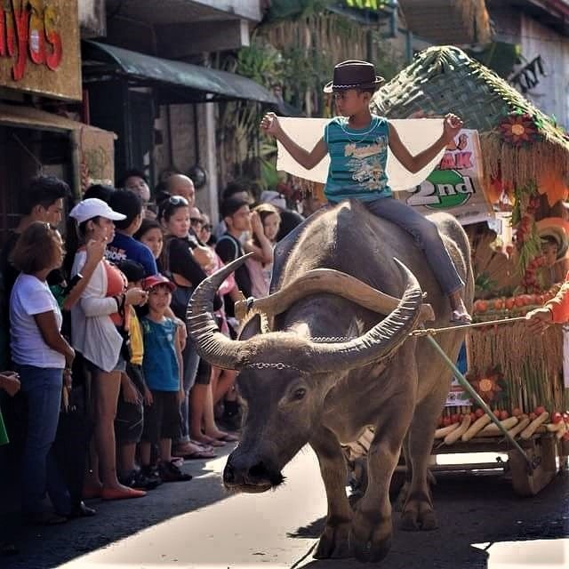 Lucban pahiwas harvest festival.jpg