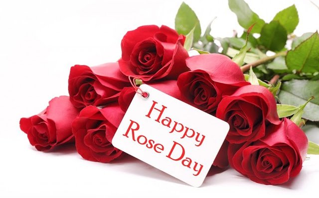 happy-rose-day-2018.jpg