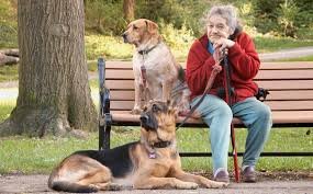 Dogs and old person.jpg