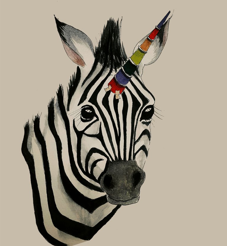 zebra.jpg