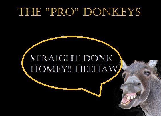 pro donkeys.jpg