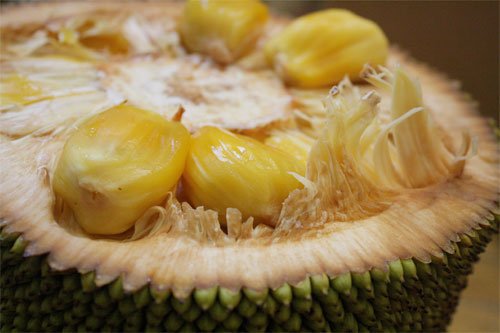 20100805-jackfruit2.jpg