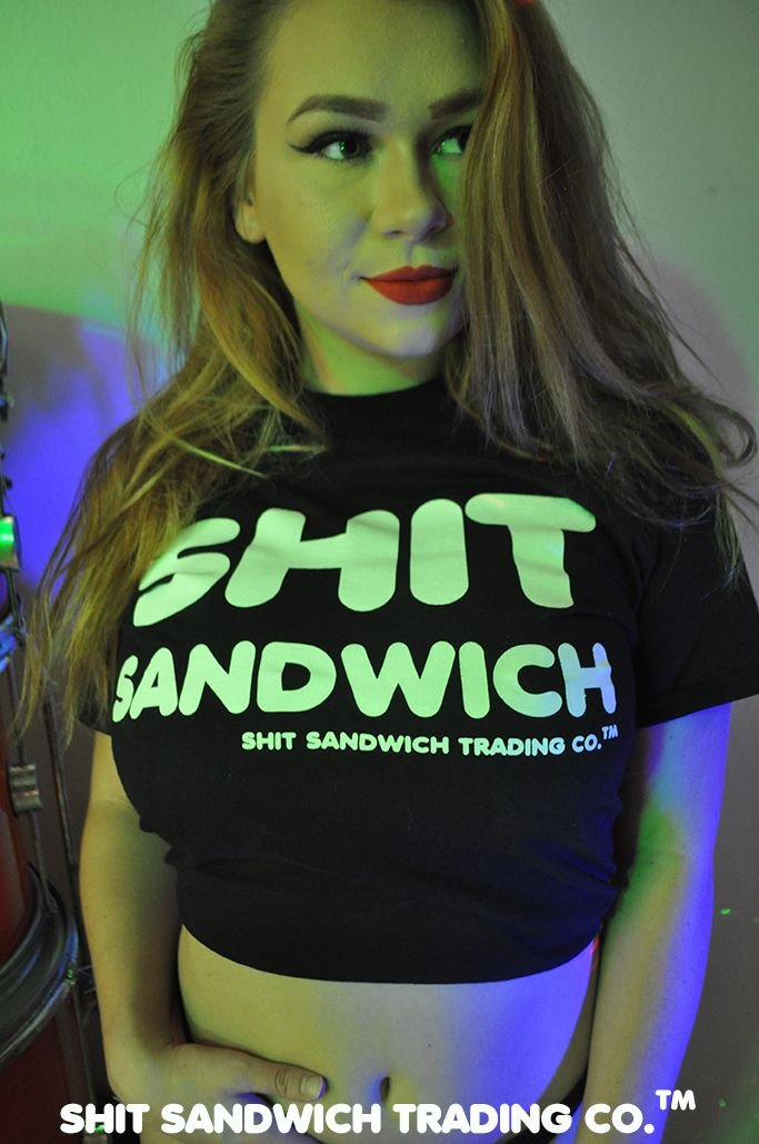 shitsanwichpromo2.jpg