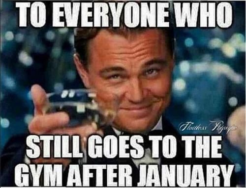 still gym january.jpg