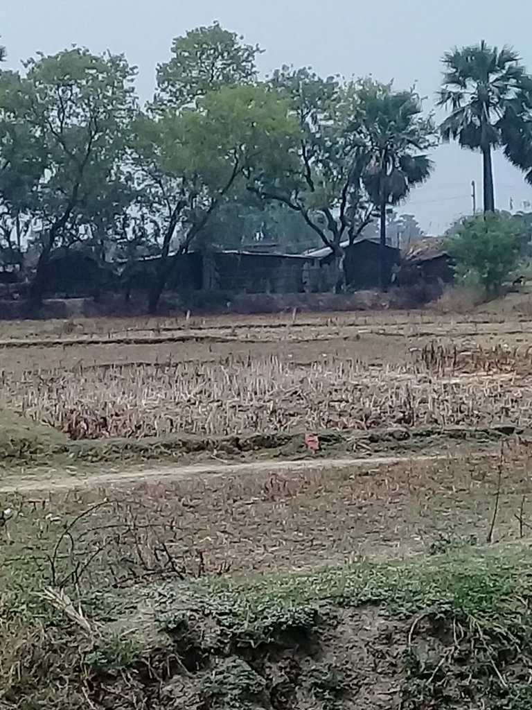 20180507_101232.jpg