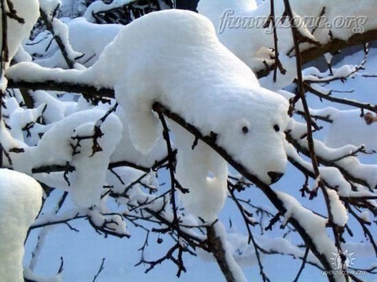 polar-bear-shaped-snow1.jpg