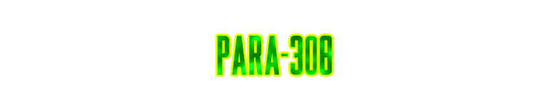 PARA-308.png