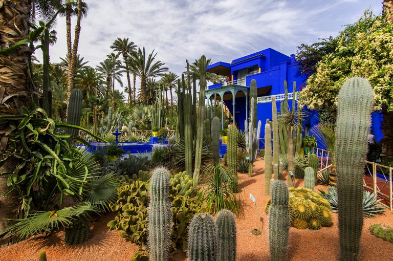 majorelle.jpg