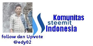 Steemit KSI-1.jpg