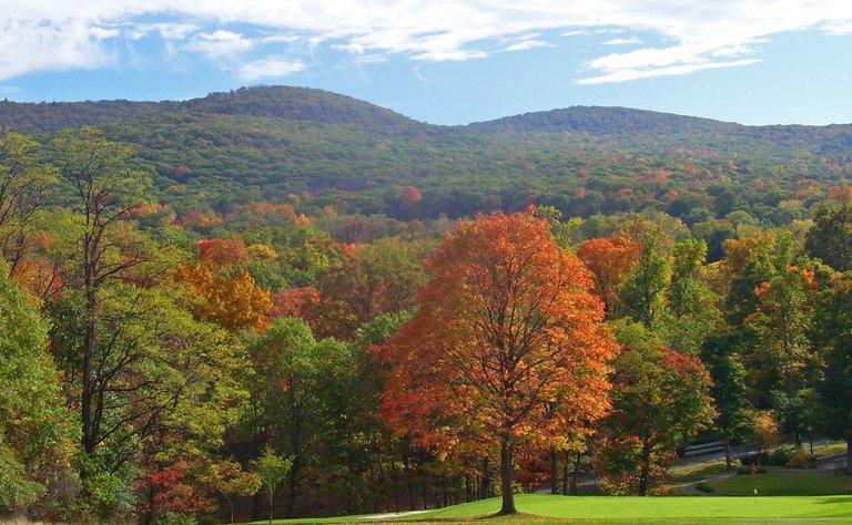 Black_Rock_Forest_view_from_NE.jpg