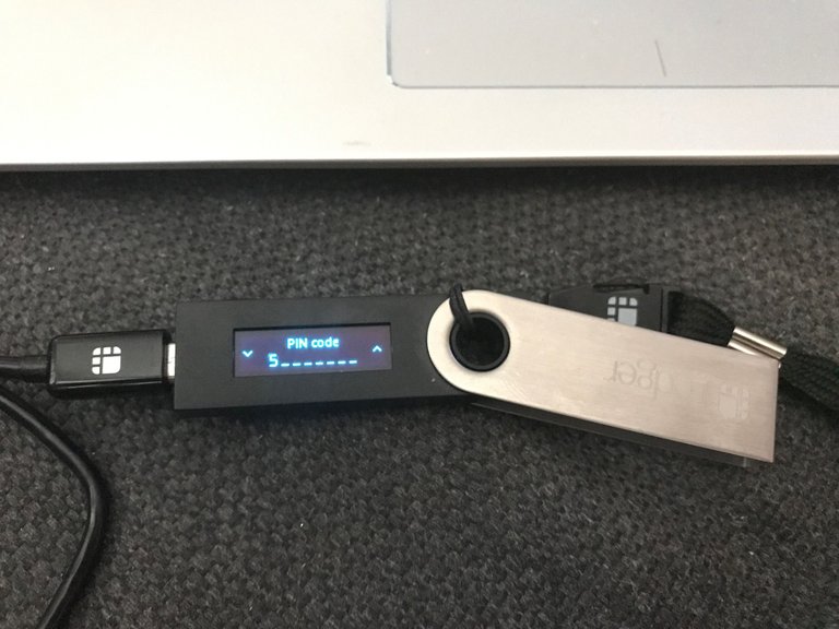 ledger pin.JPG