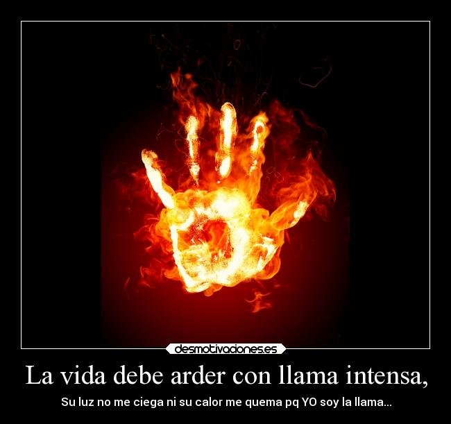 vida-desmotivaciones-266.jpg