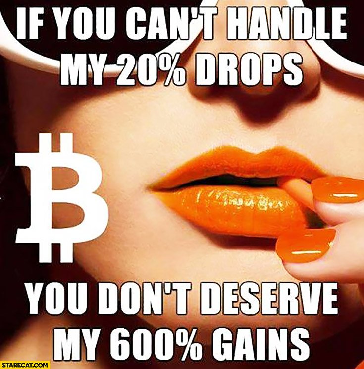 bitcoin-if-you-cant-handle-my-20-percent-drops-you-dont-deserve-my-600-percent-gains.jpg