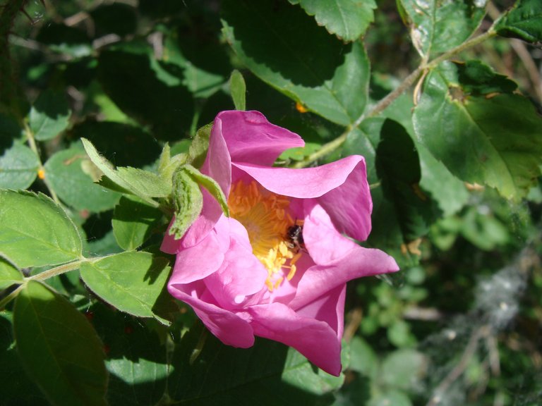 DSC02669.JPG