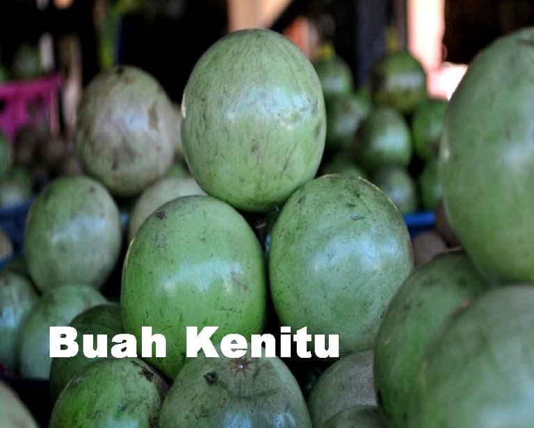 buah-genitu-atau-kenitu.jpg