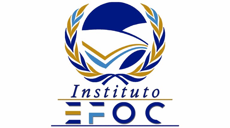 Logo Instagram EFOC.jpg