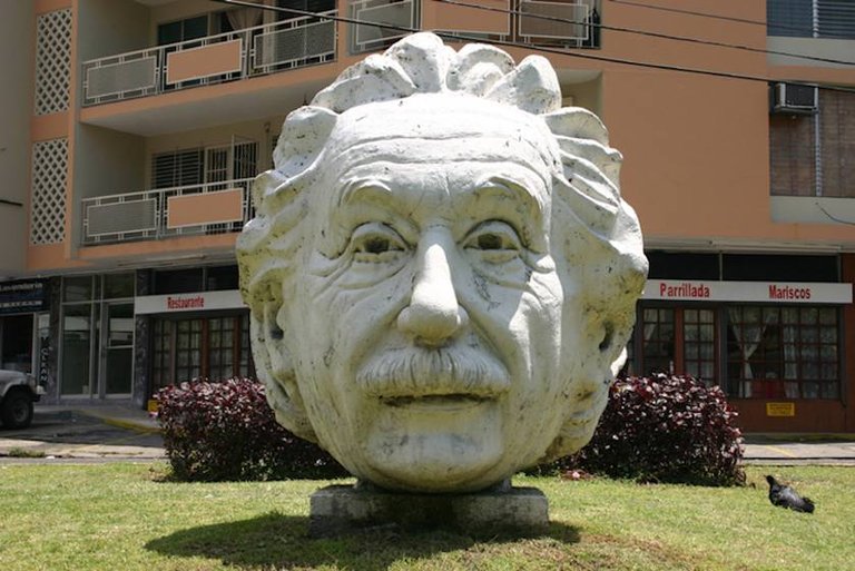 Einstein_head.jpg.839x0_q71_crop-scale.jpg