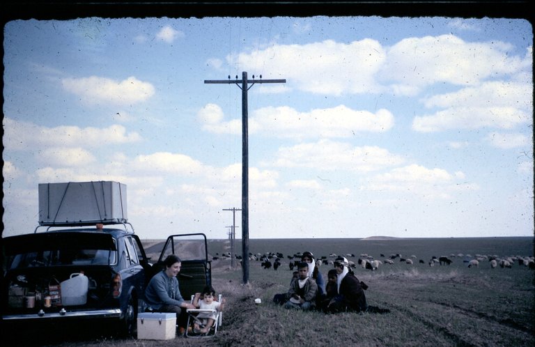 trip---picnic-with-shepherd.jpg