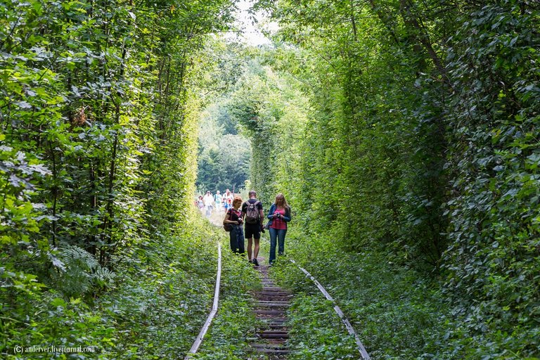 tunnel-of-love-ukraine-5.jpg