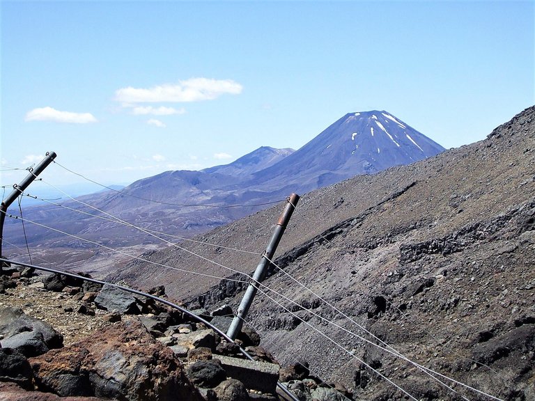 NZ fence Doom 2.jpg