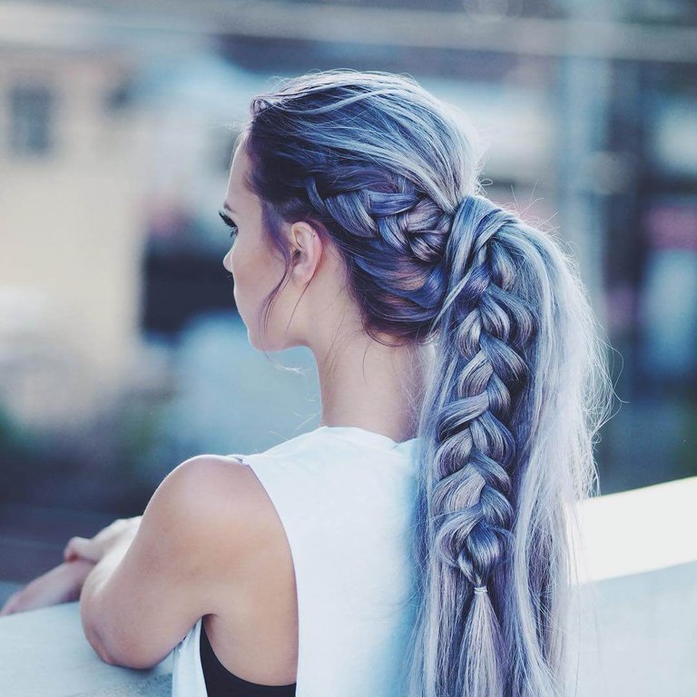 Long-braided-dark-blue-hairstyle.jpg