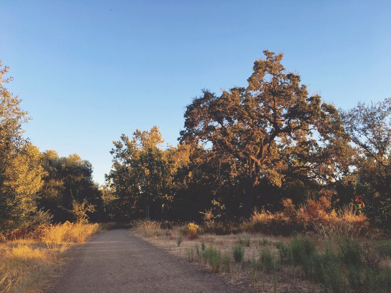 Nature Creek Trail - October California 007.JPG