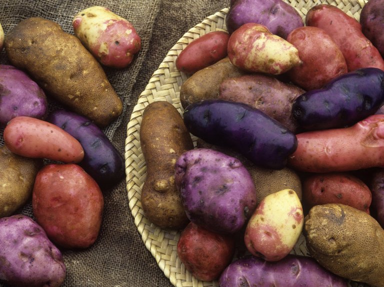 colorful potatoes.jpg