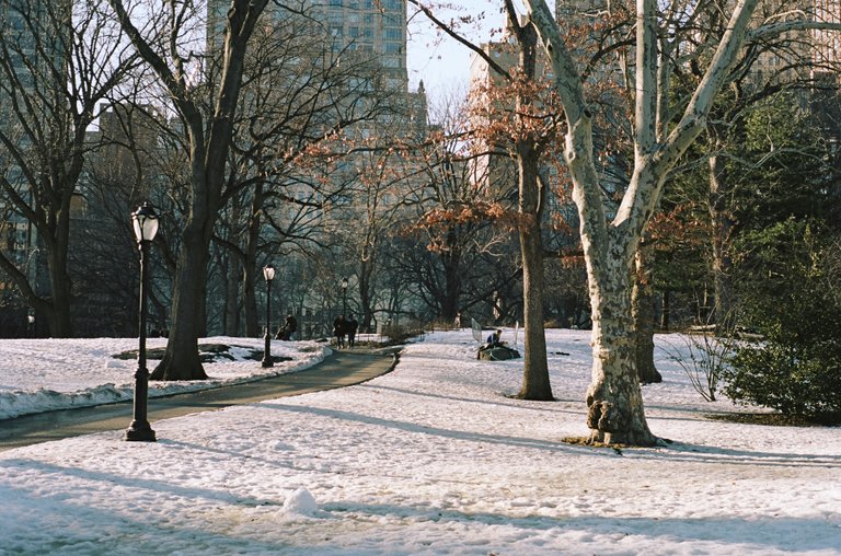 Central Park Path.jpg