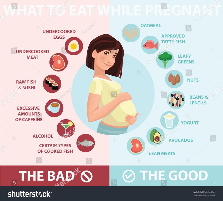 stock-vector-pregnant-woman-diet-infographic-a-food-guide-for-pregnant-woman-pregnant-diet-healthy-lifestyle-655359853.jpg
