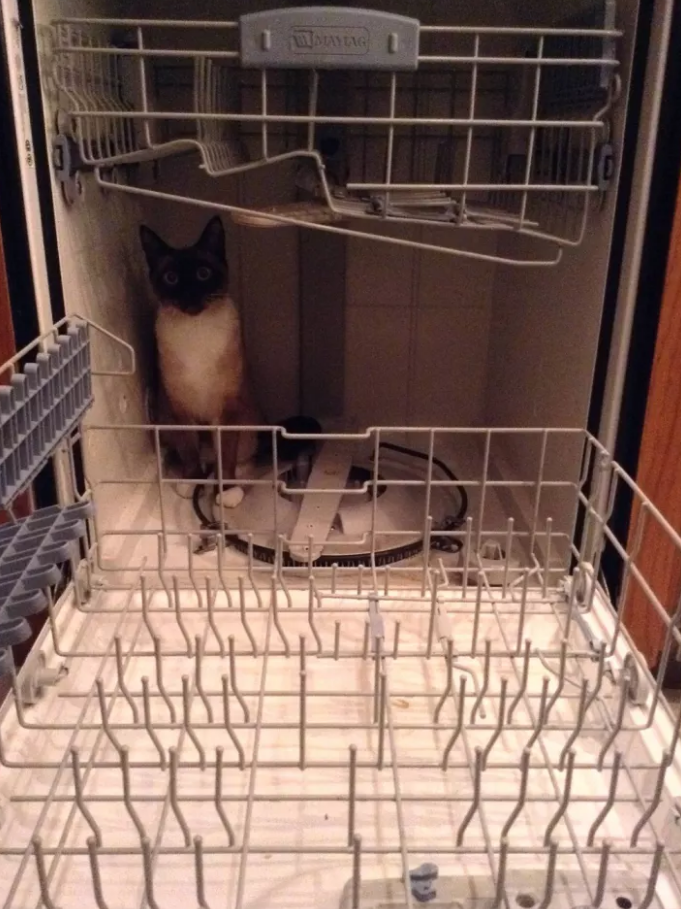 dishwasher.png