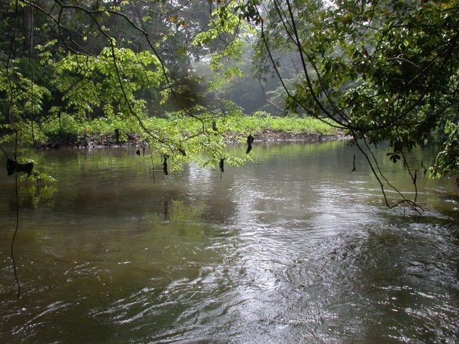 Osun_River_in_osun_state_Nigeria.jpg