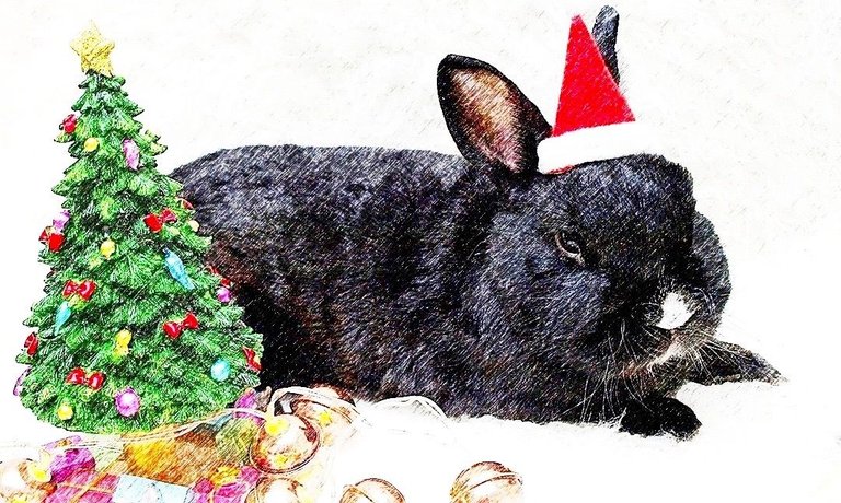 sketched christmas rabbit.jpg