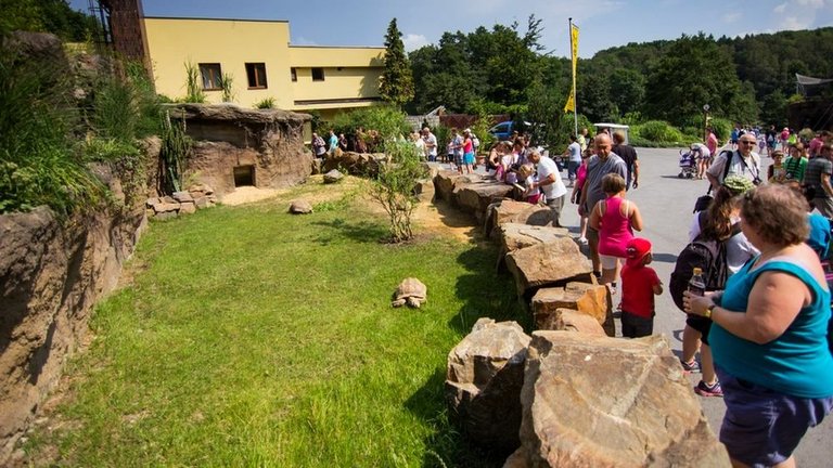 2016-08-04_12-33-22_Expozice-pro-zelvy-ostruhate_z-Zoo-Ostrava.jpg