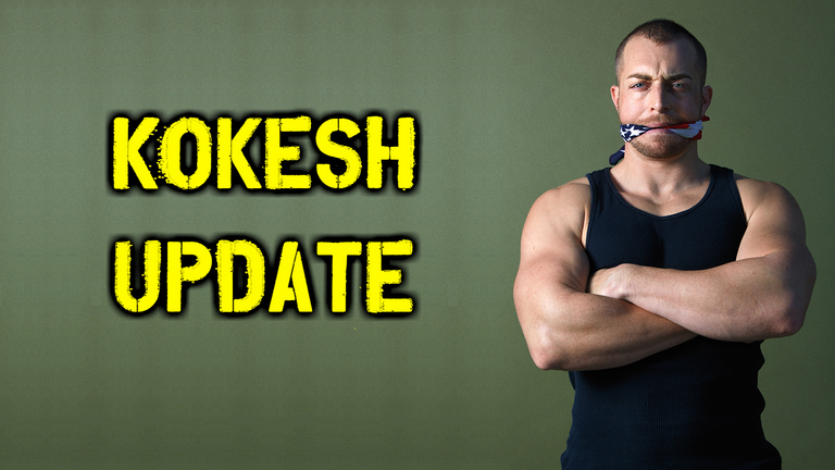 kokesh update2.png