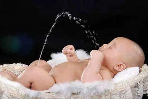 FB_IMG_1501883920732.jpg