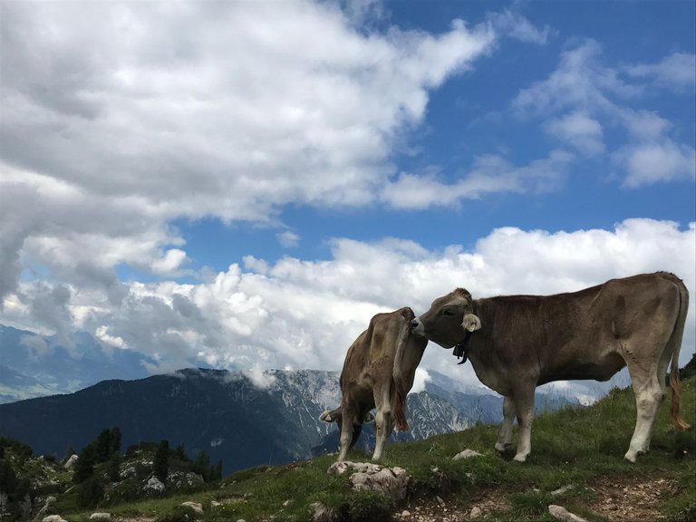 AUSTRIA-1.jpg