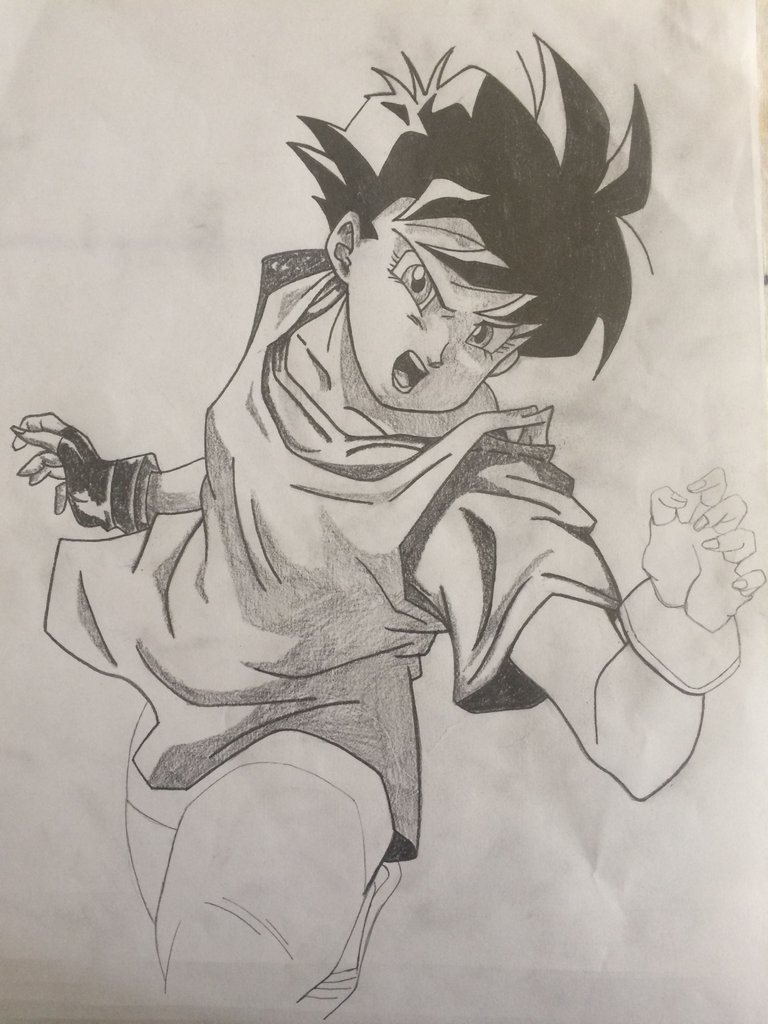 videl 12.JPG