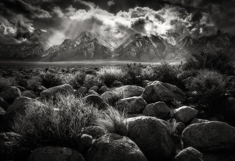 Black and white Sierras