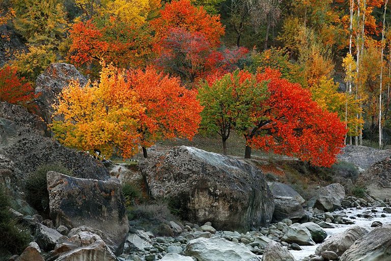 Hunza-Valley-Autumn-Tours.jpg