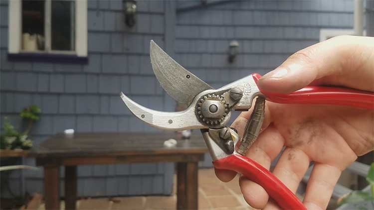 clean-felco-2-pruners.jpg