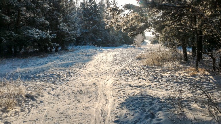 gagarinapark-005.jpg