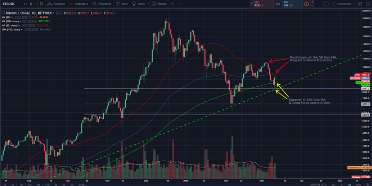 BTCUSD Daily Log Chart 12_03.PNG