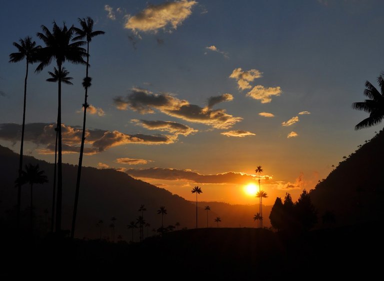 Valle-del-Cocora-Atardecer.jpg